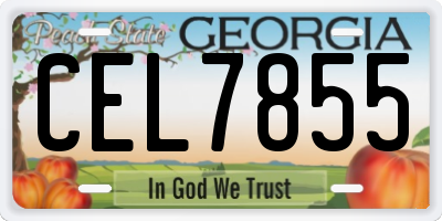 GA license plate CEL7855