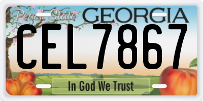 GA license plate CEL7867