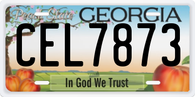 GA license plate CEL7873