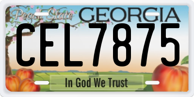 GA license plate CEL7875