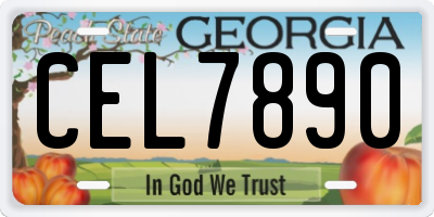 GA license plate CEL7890