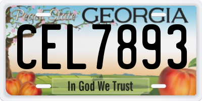 GA license plate CEL7893