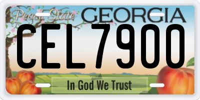 GA license plate CEL7900