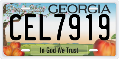 GA license plate CEL7919