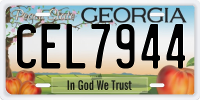 GA license plate CEL7944