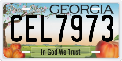 GA license plate CEL7973