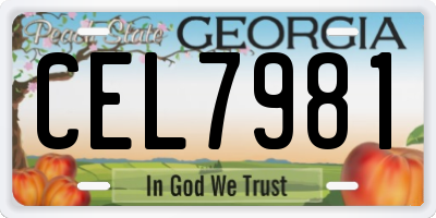 GA license plate CEL7981
