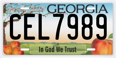GA license plate CEL7989