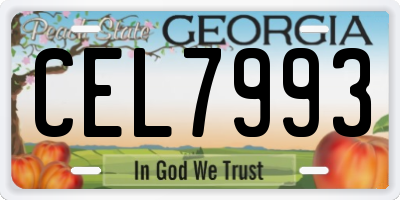 GA license plate CEL7993