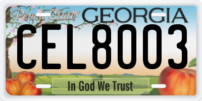 GA license plate CEL8003