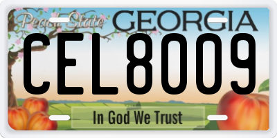 GA license plate CEL8009