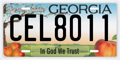 GA license plate CEL8011
