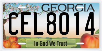 GA license plate CEL8014