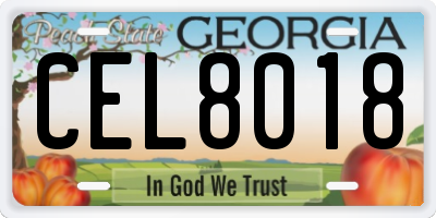 GA license plate CEL8018