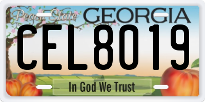 GA license plate CEL8019