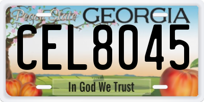 GA license plate CEL8045