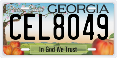GA license plate CEL8049