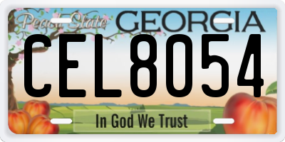 GA license plate CEL8054