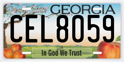 GA license plate CEL8059