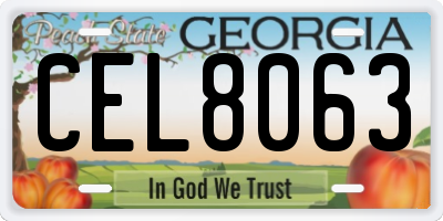 GA license plate CEL8063