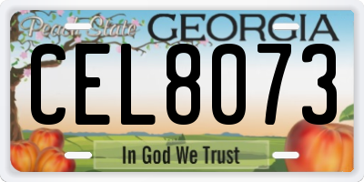 GA license plate CEL8073