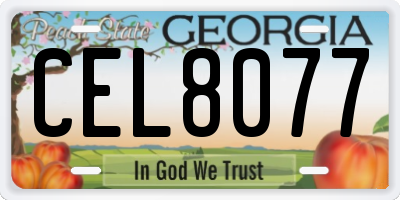 GA license plate CEL8077