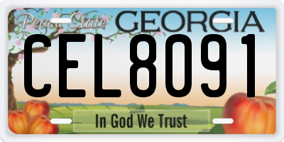 GA license plate CEL8091