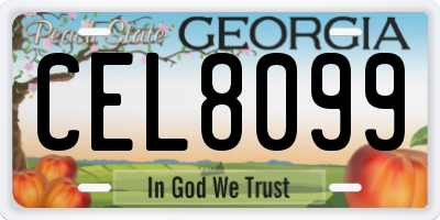 GA license plate CEL8099