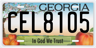 GA license plate CEL8105