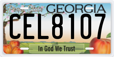 GA license plate CEL8107