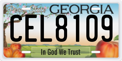 GA license plate CEL8109