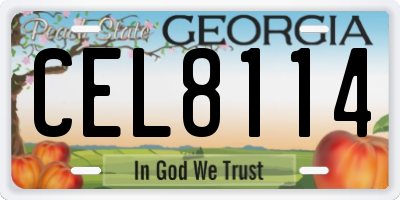 GA license plate CEL8114