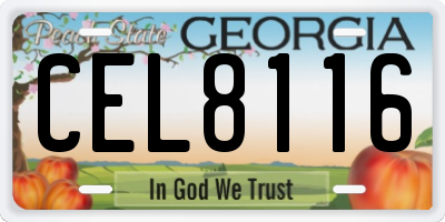 GA license plate CEL8116