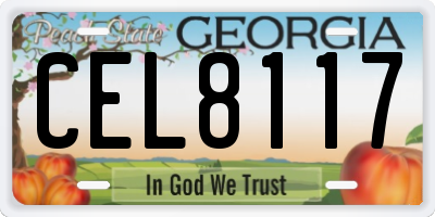 GA license plate CEL8117