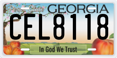 GA license plate CEL8118