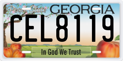GA license plate CEL8119