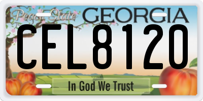 GA license plate CEL8120