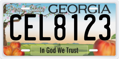 GA license plate CEL8123