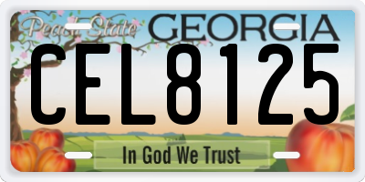 GA license plate CEL8125