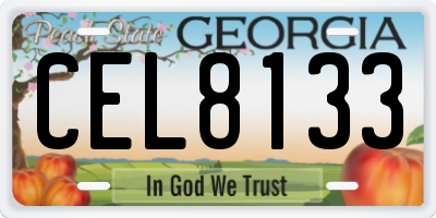 GA license plate CEL8133