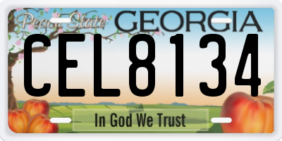 GA license plate CEL8134