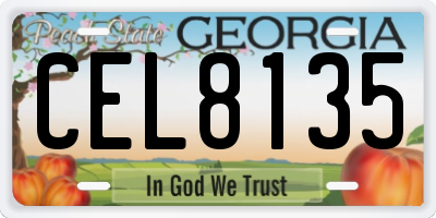 GA license plate CEL8135
