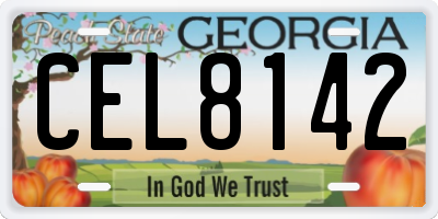 GA license plate CEL8142