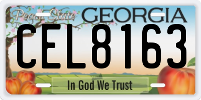 GA license plate CEL8163