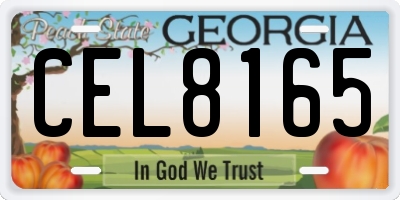 GA license plate CEL8165