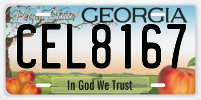 GA license plate CEL8167