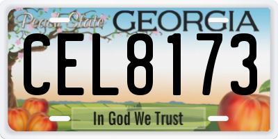 GA license plate CEL8173