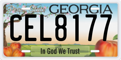 GA license plate CEL8177