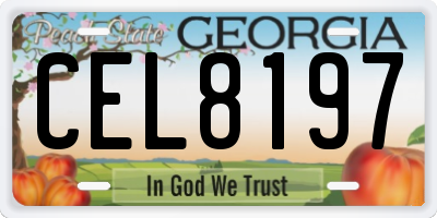 GA license plate CEL8197