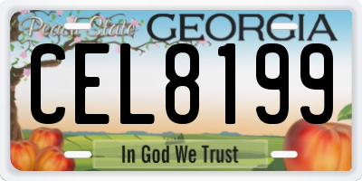 GA license plate CEL8199